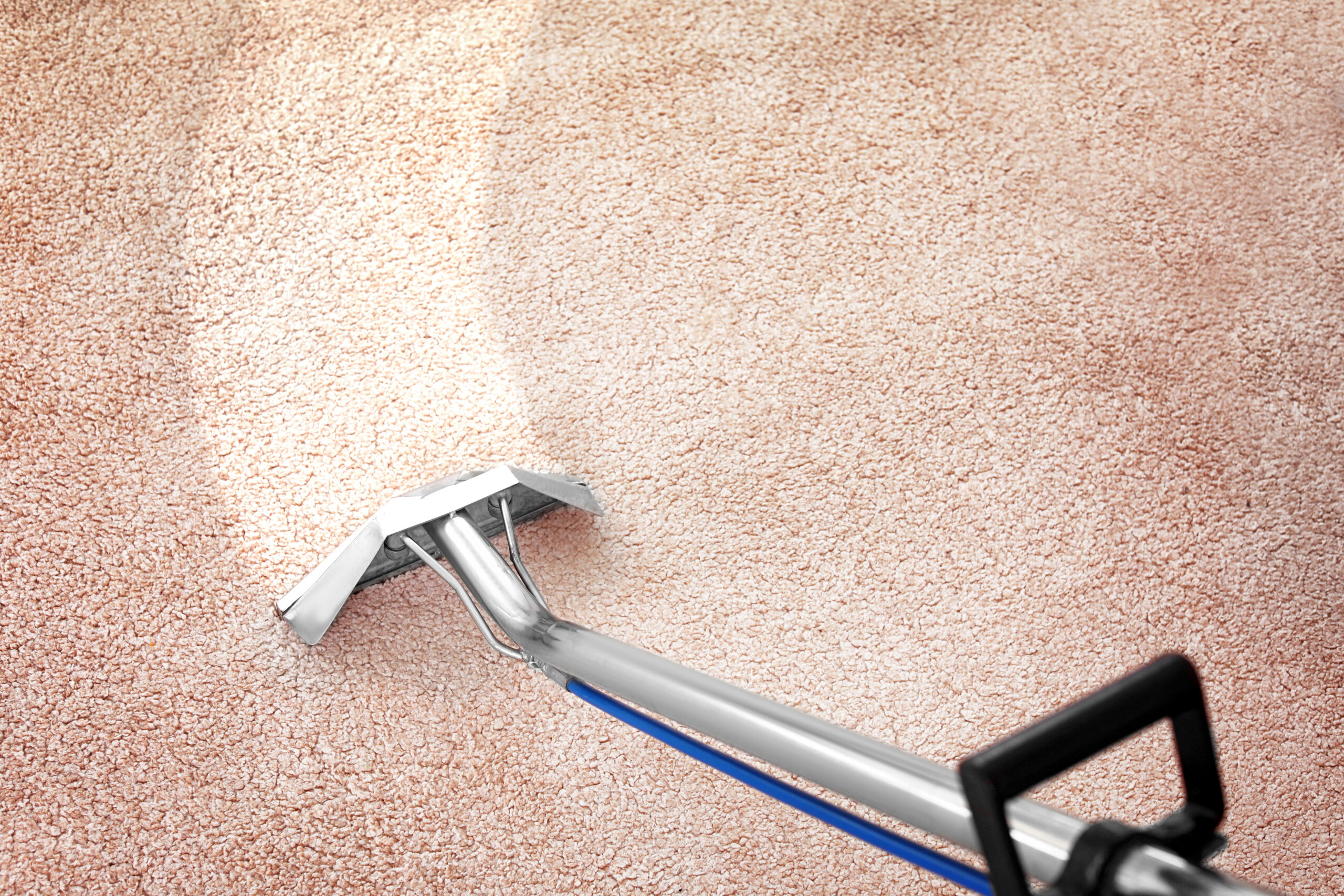 Removing dirt from carpet with professional vacuum cleaner indoors