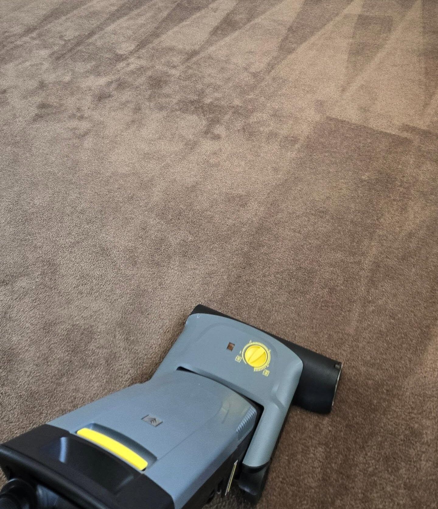 carpet cleaning in progress