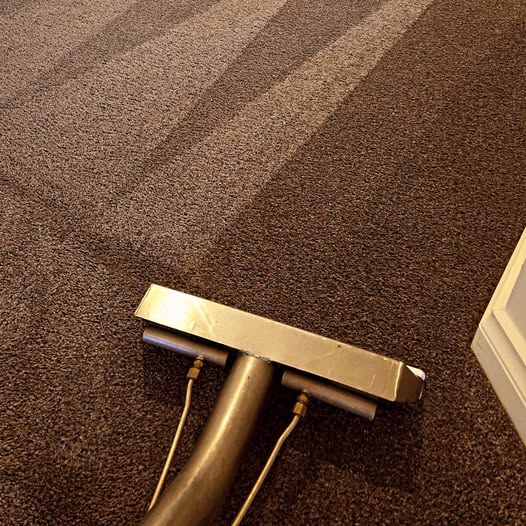 residential carpet cleaning